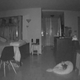 DEMON EYES. This is the picture quality you get in Night Vision.